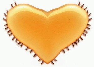 Keajaiban Madu Pada Penyakit Jantung