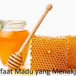 7 Manfaat Madu Menakjubkan